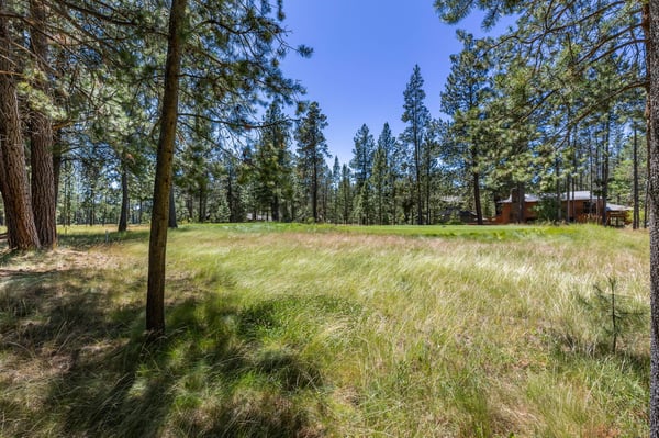 Peaceful vacation rental nestled among tall pines and open grassland, offering privacy and natural beauty in a serene forested setting.