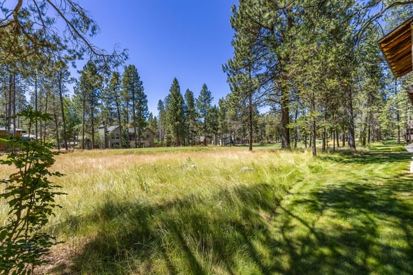 The property is set within a peaceful pine forest meadow, offering natural beauty and seclusion. Tall pines frame the open grassy space, providing shade and mountain tranquility.