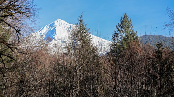 Clear Creek Cabin Mt Hood View