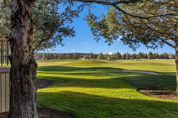 Explore Homes with a Golf Course nearby