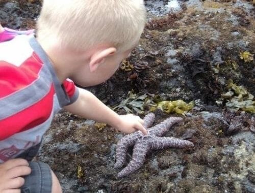 3 of the Best Things to Do with Kids in Lincoln City