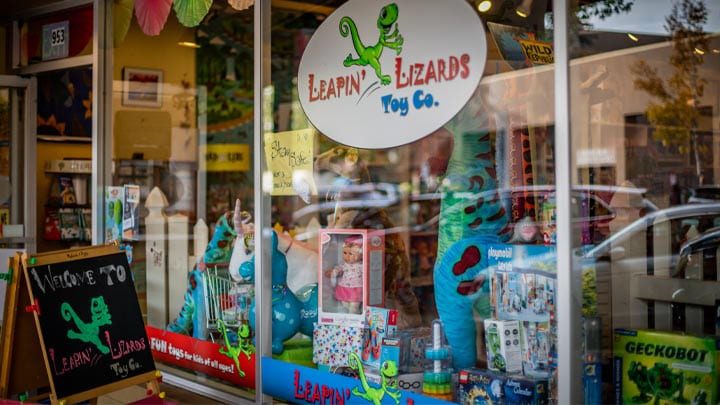 Leapin’ Lizard Toy Company