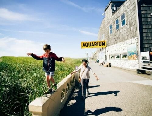 Family-Friendly Outdoor Activities on the Oregon Coast This Memorial Day Weekend