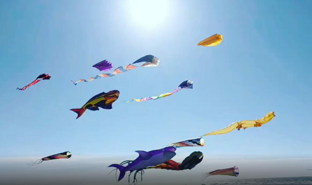 kite flying over lincoln city beach