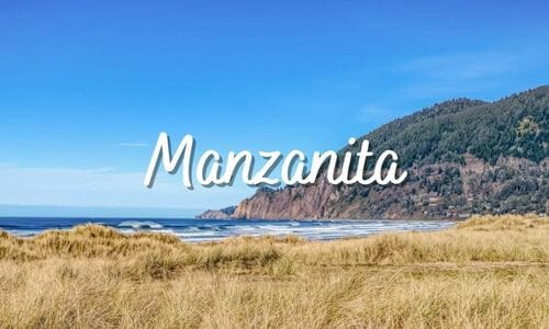 things to do in Manzanita
